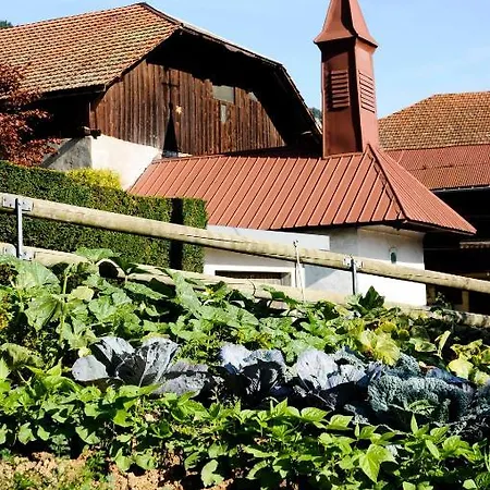 La Ferme D Emilienne Bed & Breakfast